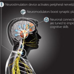 DARPA targeted neuroplasticity training