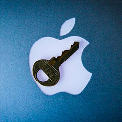Apple security key