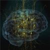 Flagship Brain Project Releases Neuro-Computing Tools