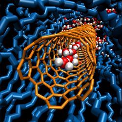 chain of water molecules inside carbon nanotube, illustration