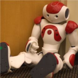 Sitting humanoid robot