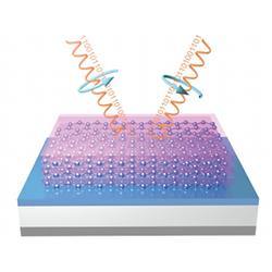 A graphene filter for microchips. 