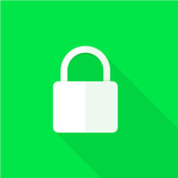 https lock