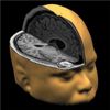 'Brainprints' Offer Better Security Than Fingerprints