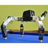 Eth Researchers Print Wild Robotic Beings