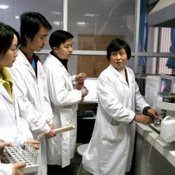 Chinese researchers