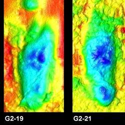 Digital analysis of some of the world's oldest known footprints.