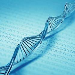 Structure of a DNA molecule.