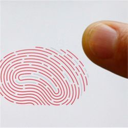 Electronic fingerprint