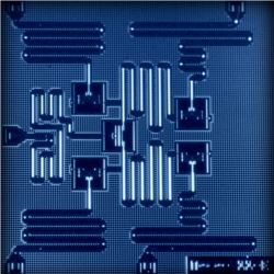 IBM quantum chip