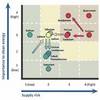 Bypassing Rare Minerals