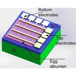 A cross-section of the biodegradable memristor.