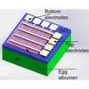 Researchers Develop Dissolvable Memristor