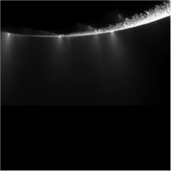 Enceladus jets contributing to plume