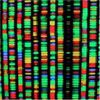 Should We Synthesise a Human Genome?