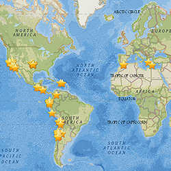 Some of the 121 earthquakes to date for which MyShake has recorded some seismic data.