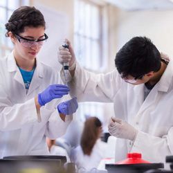 Freshman Research Initiative students in the lab