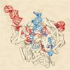 CRISPR Gene-Editing System ­nleashed on RNA