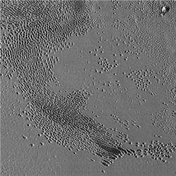 Sublimation pits on Pluto