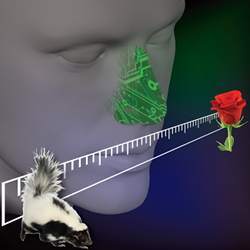 Artist's conception of an electronic nose.