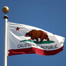 The California State Flag.