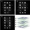 New, Better Way to Build Circuits For World's First ­seful Quantum Computers