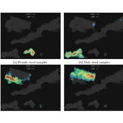 Analysis of healthy male and female subjects allowed researchers to clearly separate the microbiome data (for saliva and for stool) that, using existing methods, previously made it impossible to discriminate between the genders in comparing and contrastin