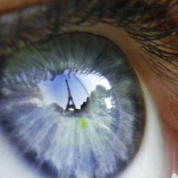 A human eye focuses on a specific aspect of an image.