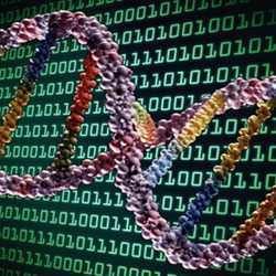 Binary DNA.
