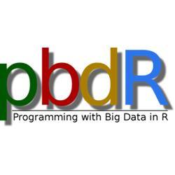 The logo for Programming with Big Data in R.