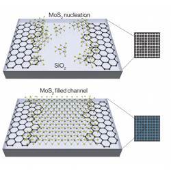 A schematic of chemical assembly of two-dimensional crystals. 