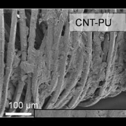 thread coated with carbon nanotubes