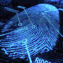 Parts of a fingerprint.