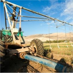 Mobile irrigation robot in a field