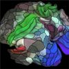 Human Brain Mapped in ­nprecedented Detail