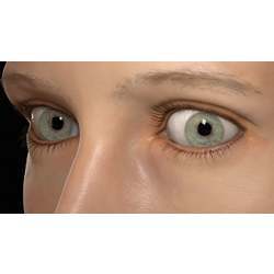 Computer-animated eyes, reconstructed from a single facial scan.