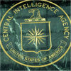 CIA Cyber Official Sees Data Flood as Both Godsend and Danger
