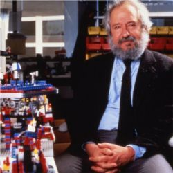 Seymour Papert, MIT