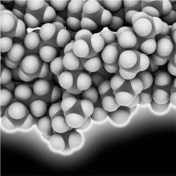 Polypropylene polymer chain