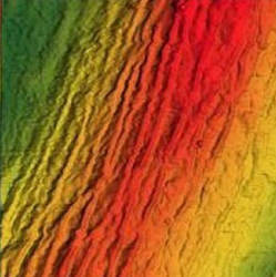 Wrinkles in graphene (red) produced by bacteria.