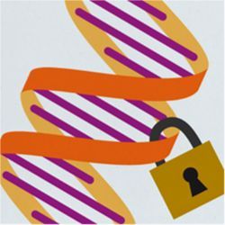 DNA lock