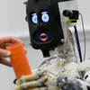 People Favor Expressive, Communicative Robots Over Efficient and Effective Ones