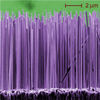 Stretching the Limit of Silicon Nanowires For Next-Generation Electronics