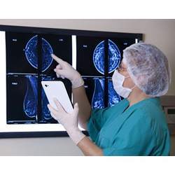 Confirming the software's evaluation of a mammogram.