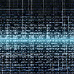 A binary code matrix.