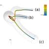 Scientific Visualizations: A Bridge to Knowledge