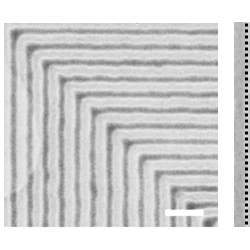 A scanning electron micrograph of a block copolymer film assembled on graphene/germanium chemical patterns with 90-degree bends. The scale bar is 200 nm.