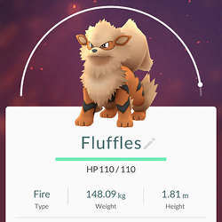 Fluffles, a Pokemon Go character.