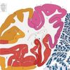 Human Brain Map Gets a Bold New Update