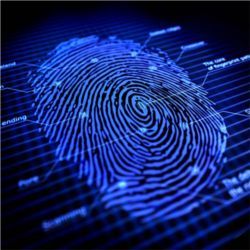 Digital fingerprint